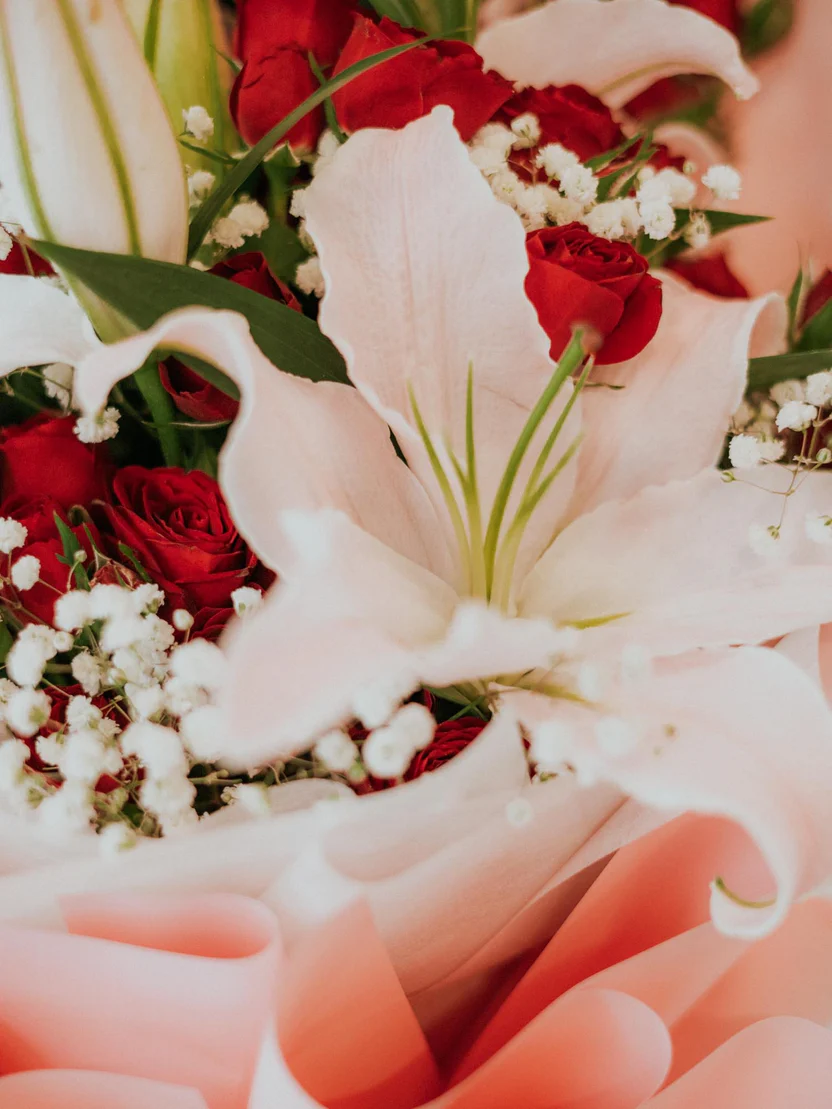 Lily's Grace - Image 3