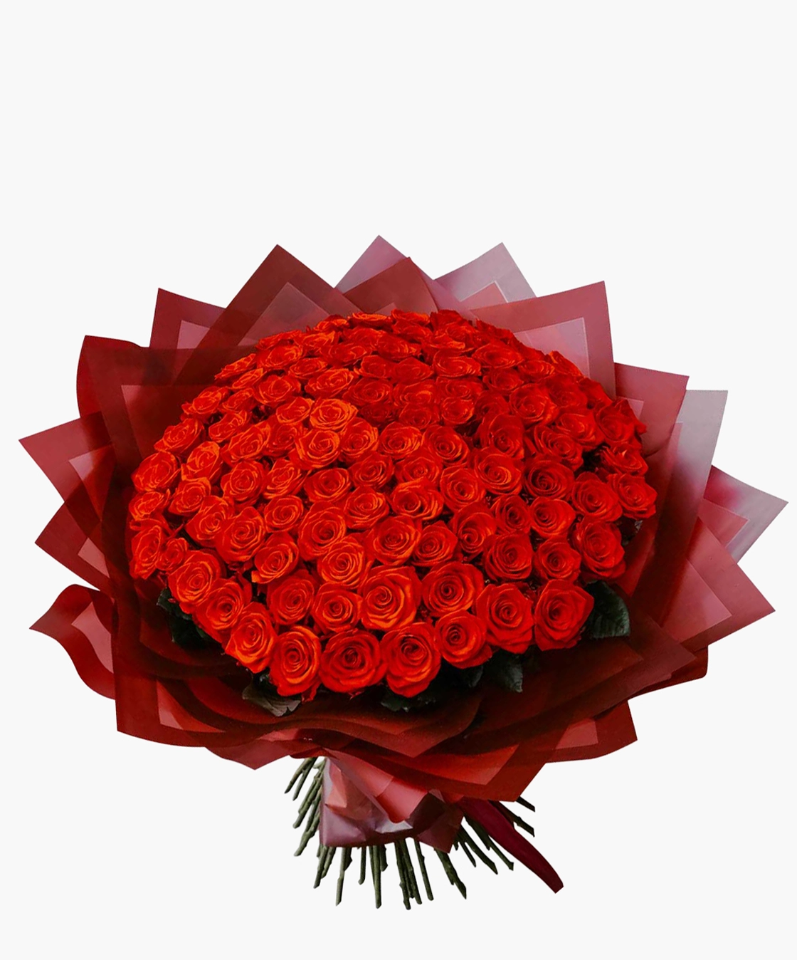 Grand Scarlet Rose Dome